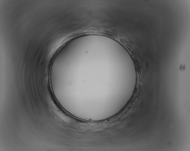 X0000088900005200707061505