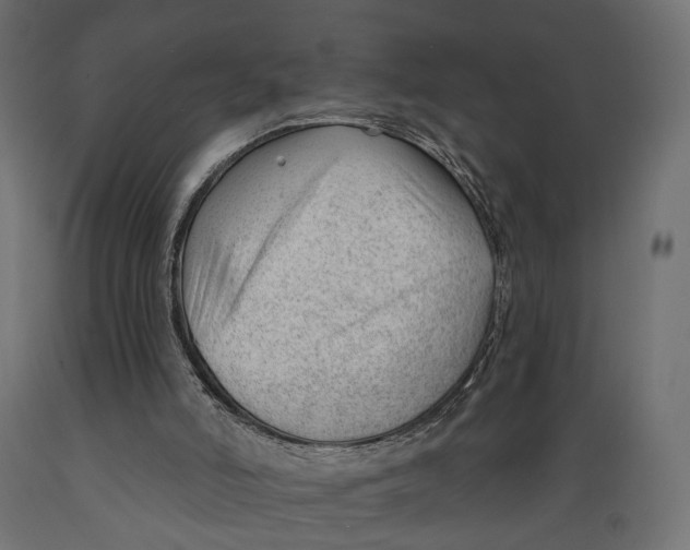 X0000088900006200707061505