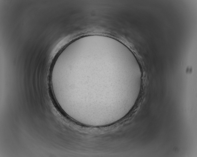 X0000088900007200707061505