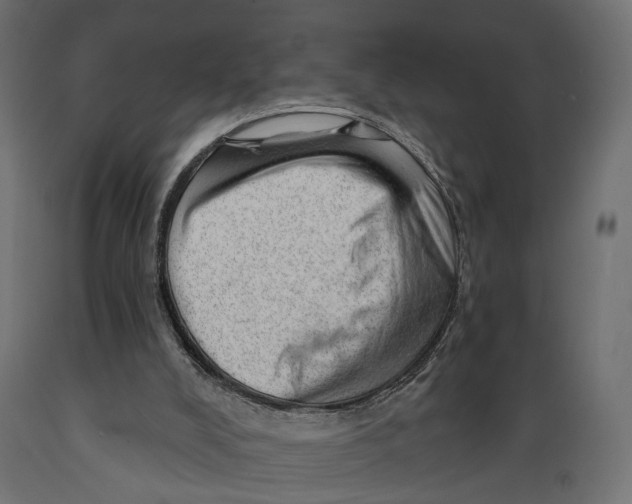 X0000088900008200707061505