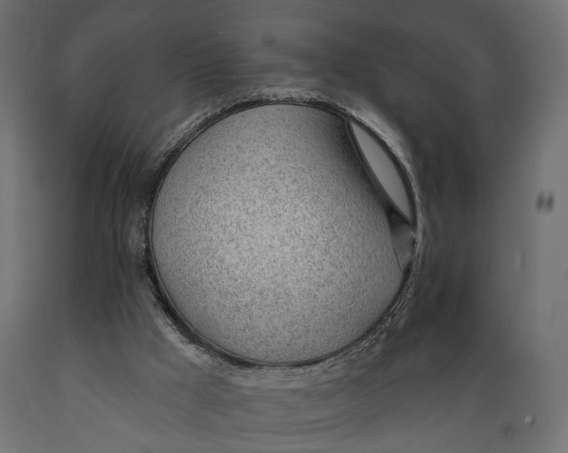 X0000088900009200707061505