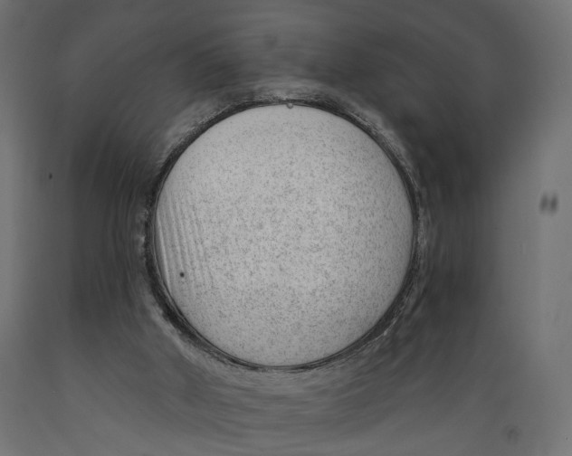 X0000088900010200707061505