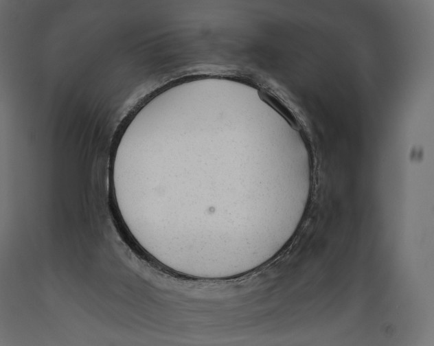 X0000088900011200707061505