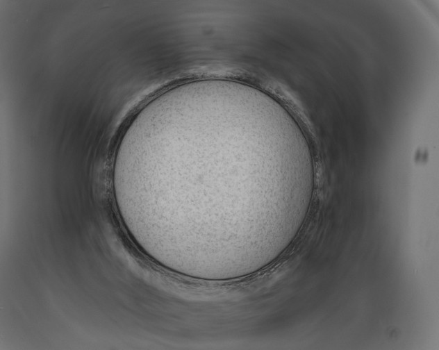 X0000088900012200707061505