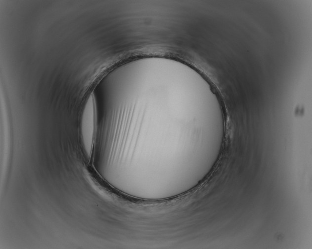 X0000088900013200707061505