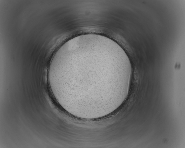 X0000088900014200707061505