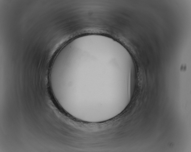 X0000088900015200707061505