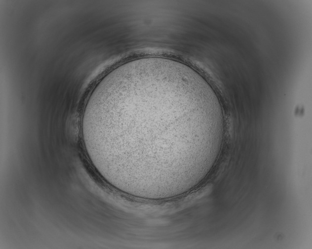 X0000088900016200707061505