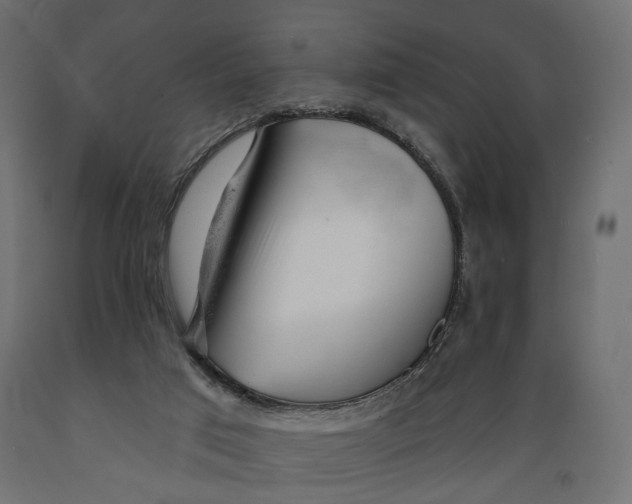 X0000088900017200707061505