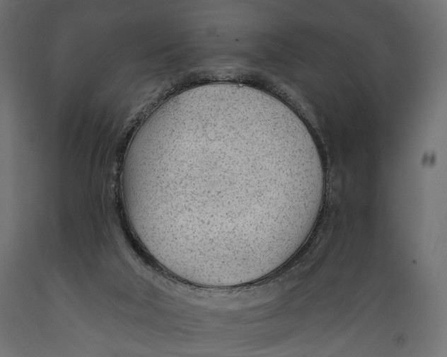 X0000088900018200707061505