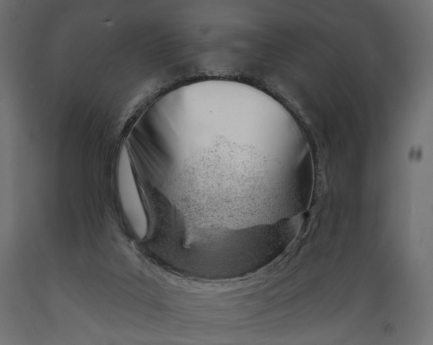 X0000088900019200707061505