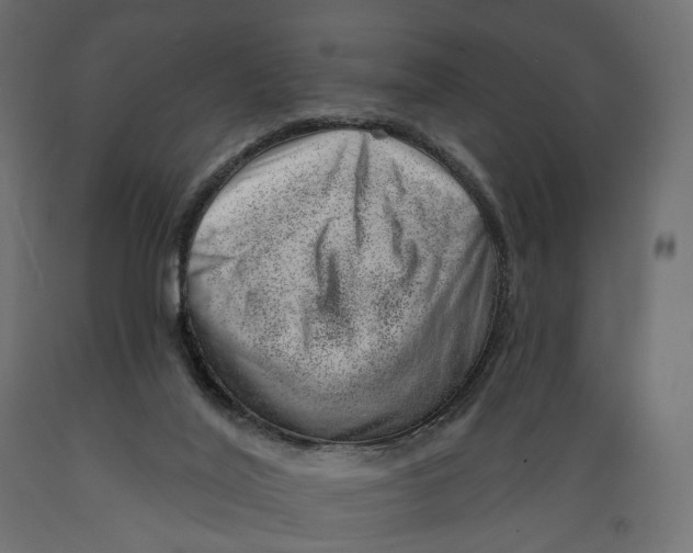 X0000088900020200707061505