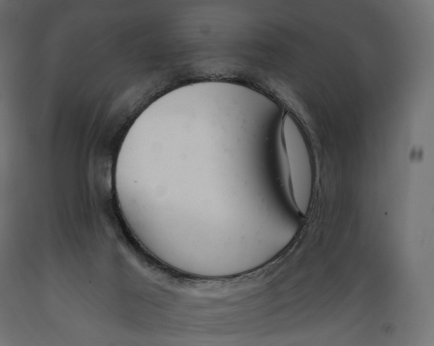 X0000088900021200707061505