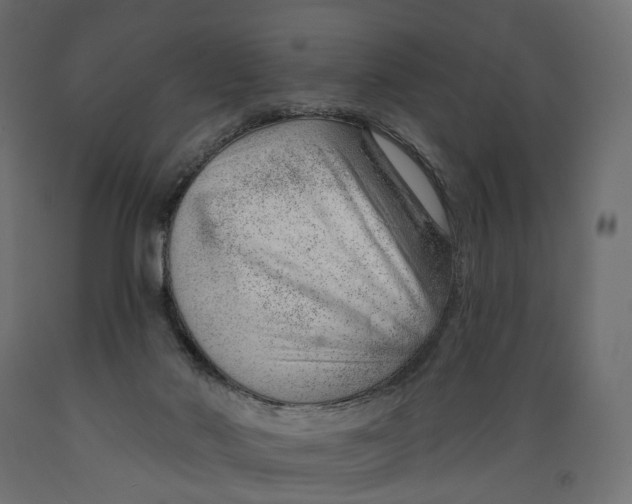 X0000088900022200707061505