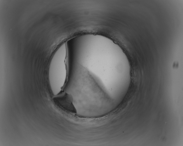 X0000088900023200707061505