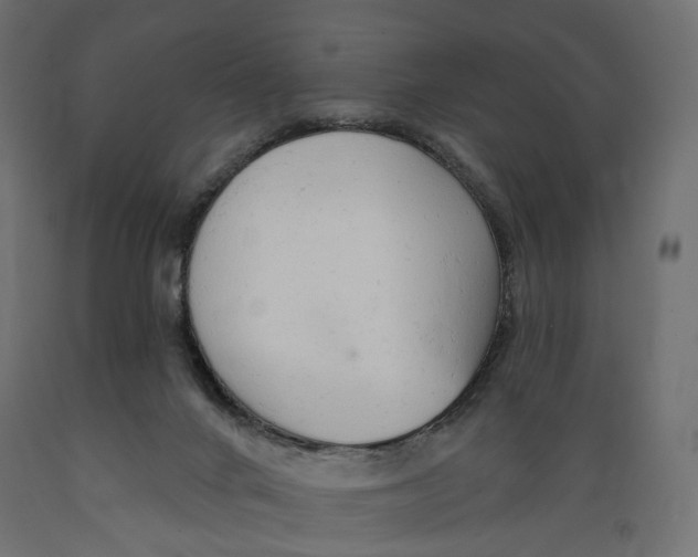 X0000088900024200707061505