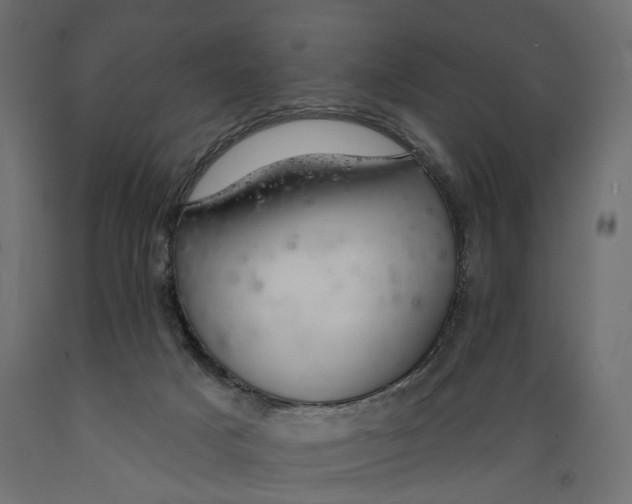 X0000088900025200707061505