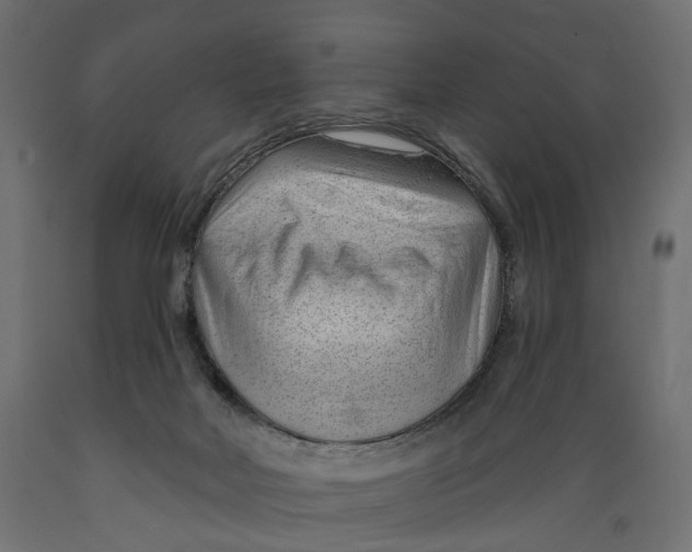 X0000088900026200707061505