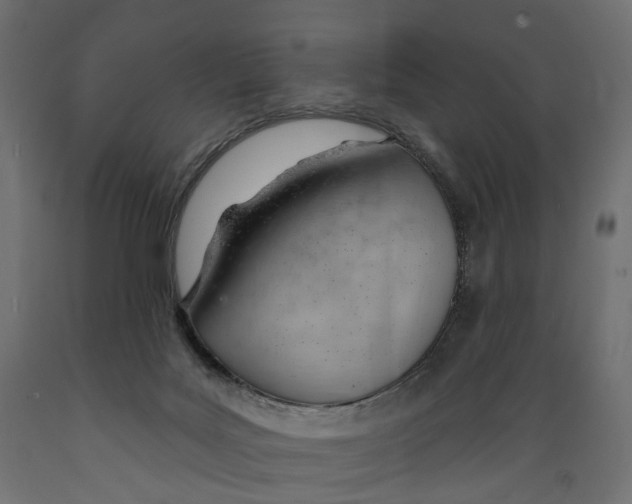 X0000088900027200707061505