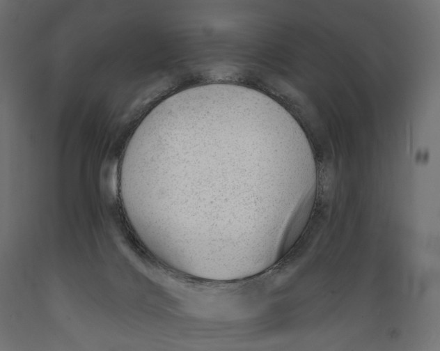 X0000088900028200707061505