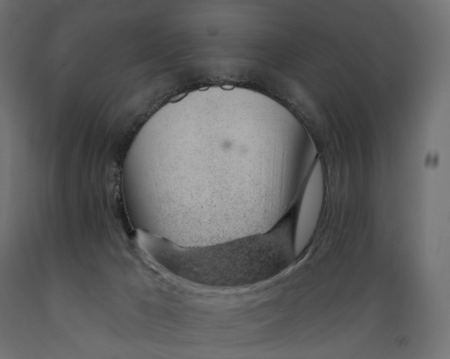 X0000088900029200707061505