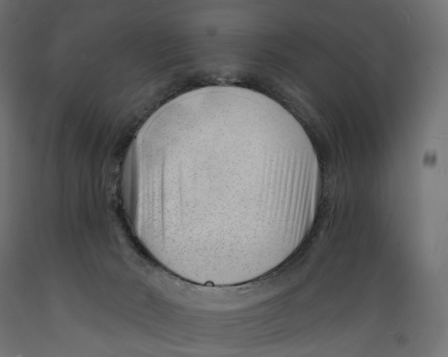 X0000088900030200707061505