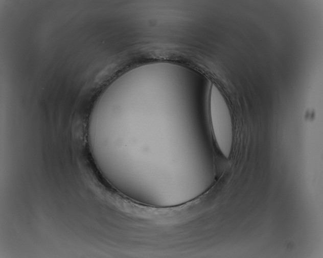 X0000088900031200707061505