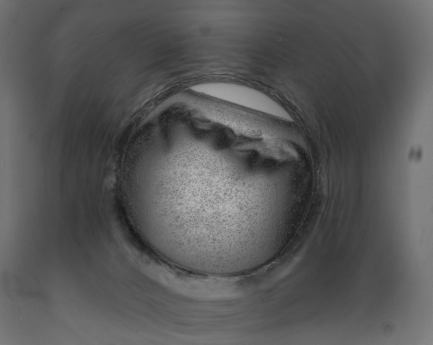 X0000088900032200707061505