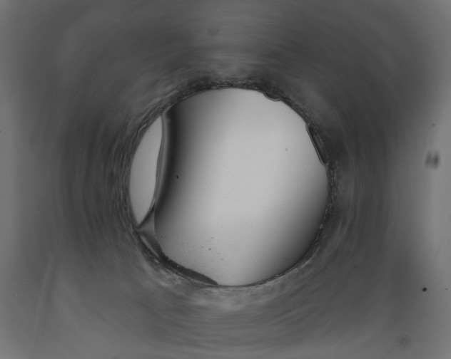 X0000088900033200707061505