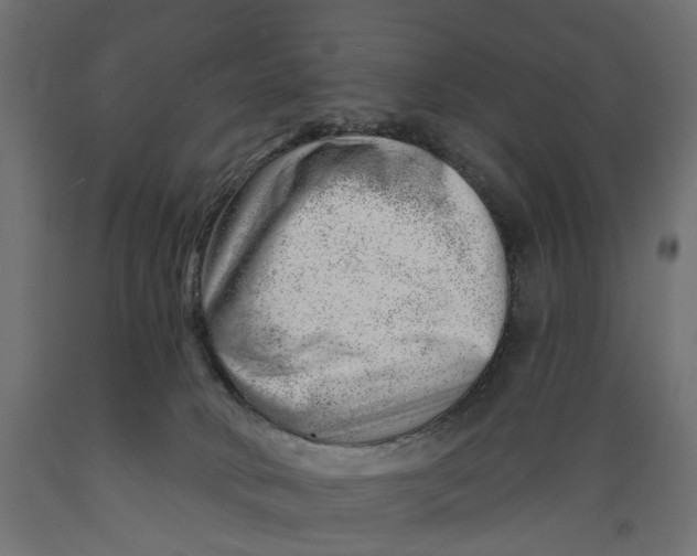 X0000088900034200707061505