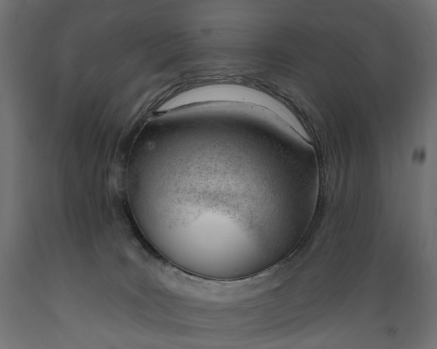 X0000088900035200707061505