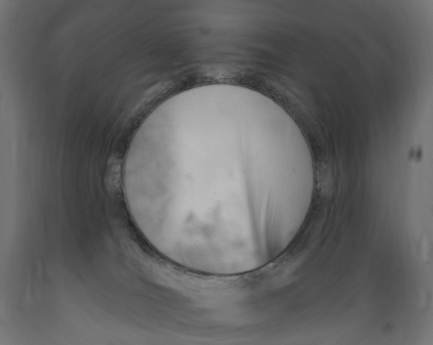 X0000088900036200707061505