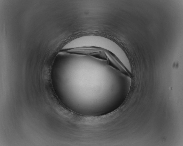 X0000088900037200707061505