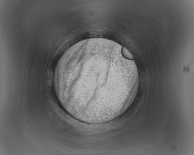 X0000088900038200707061505