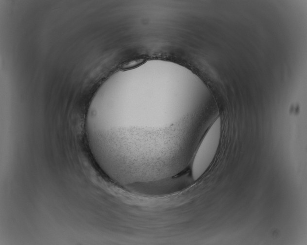 X0000088900039200707061505