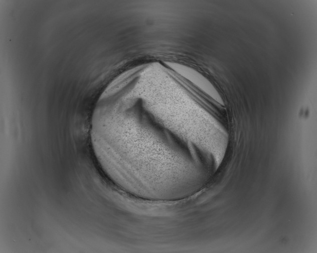 X0000088900040200707061505