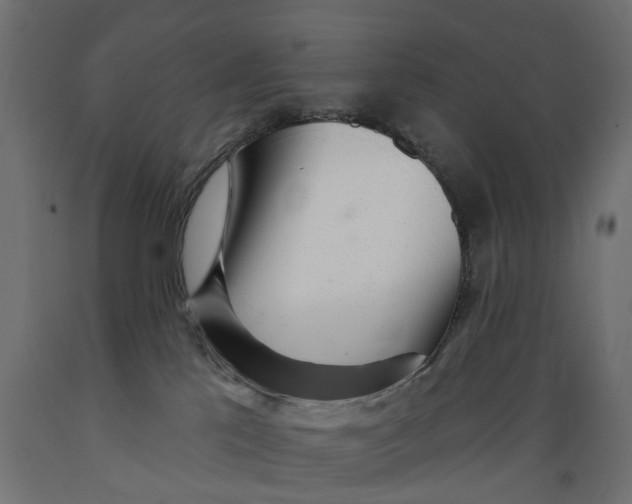 X0000088900041200707061505