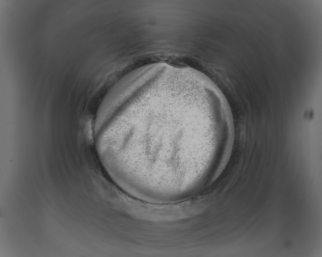 X0000088900042200707061505