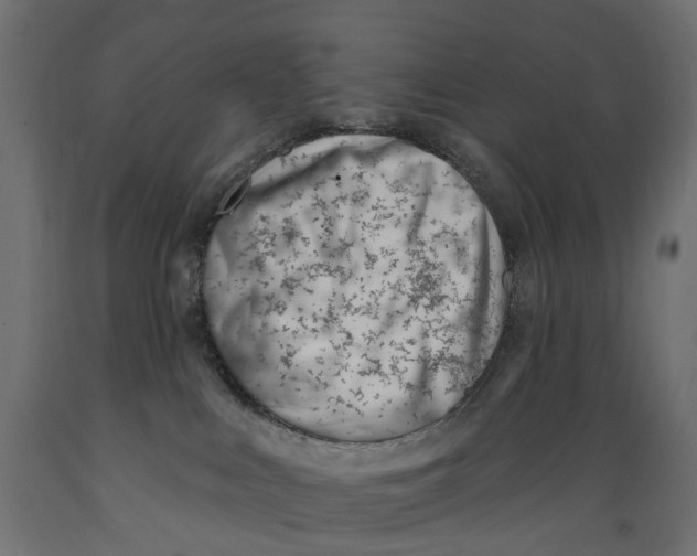 X0000088900043200707061505