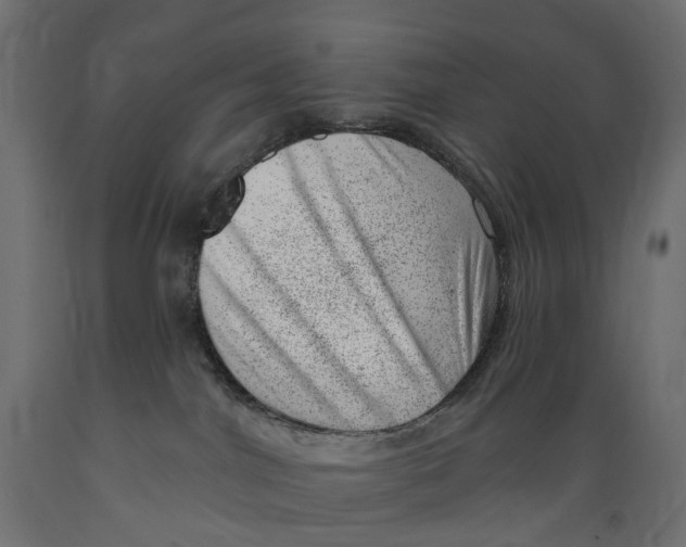 X0000088900044200707061505