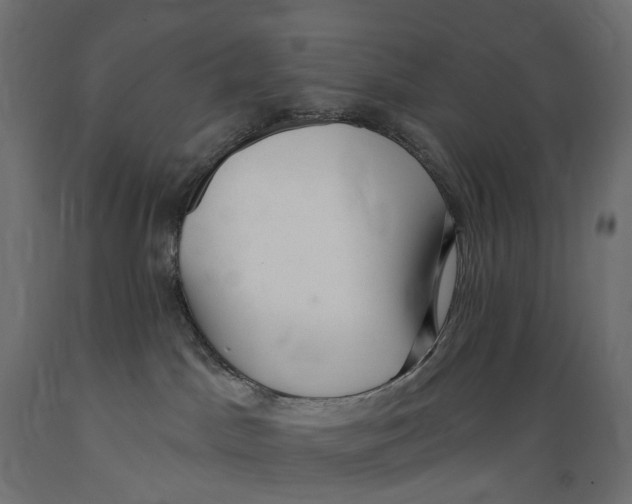 X0000088900045200707061505