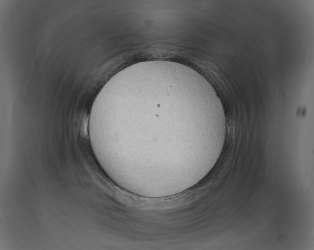 X0000088900046200707061505