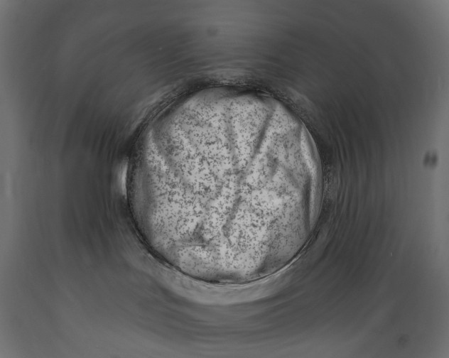 X0000088900047200707061505