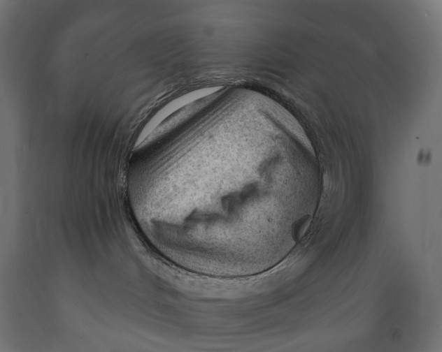 X0000088900048200707061505