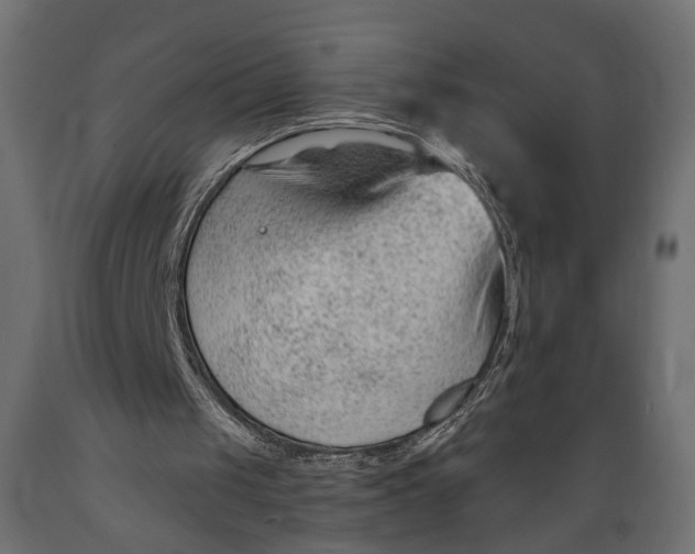 X0000088900049200707061504