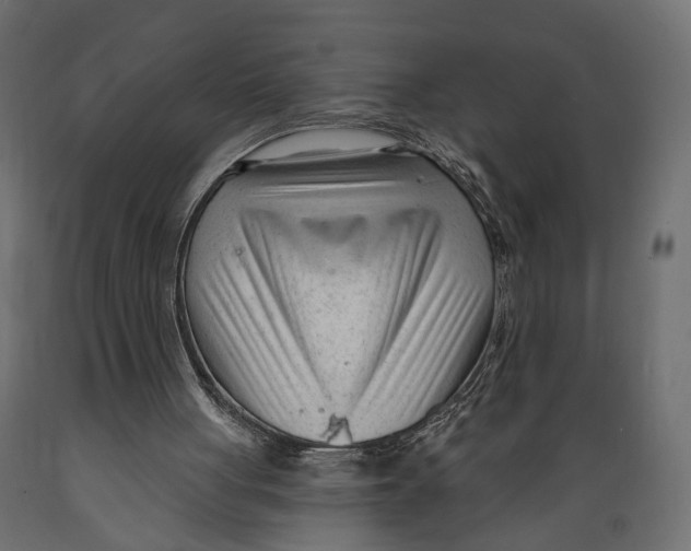 X0000088900051200707061504