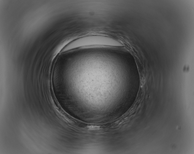 X0000088900052200707061504