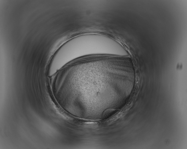 X0000088900053200707061504