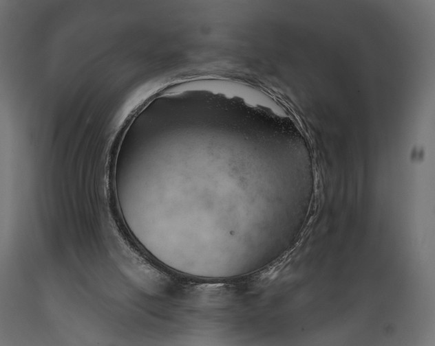 X0000088900054200707061504