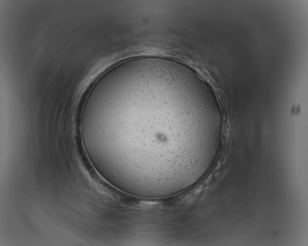 X0000088900055200707061504